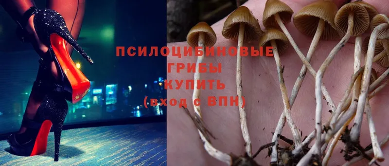 omg зеркало  Нахабино  Псилоцибиновые грибы Magic Shrooms  даркнет сайт 